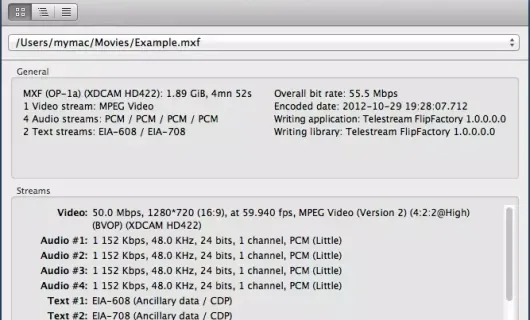 MediaInfo screenshot 1