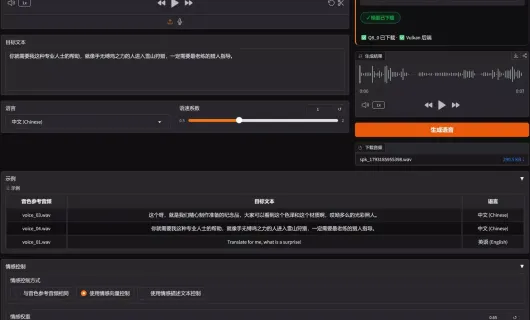 IndexTTS 2.5 轻量版 screenshot 1